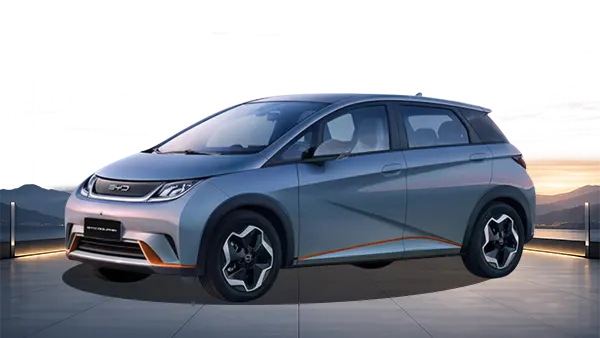 BYD Dolphin [year]