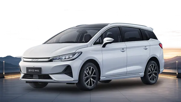 BYD M6 [year]