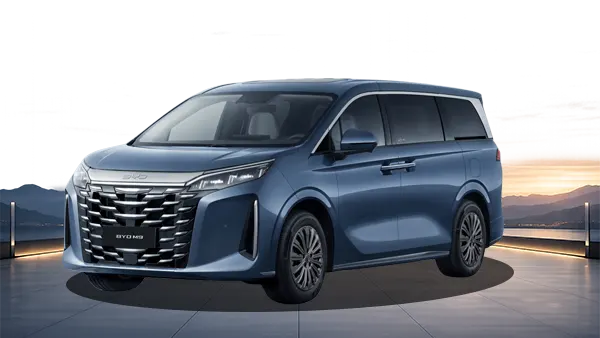 BYD M9 [year]